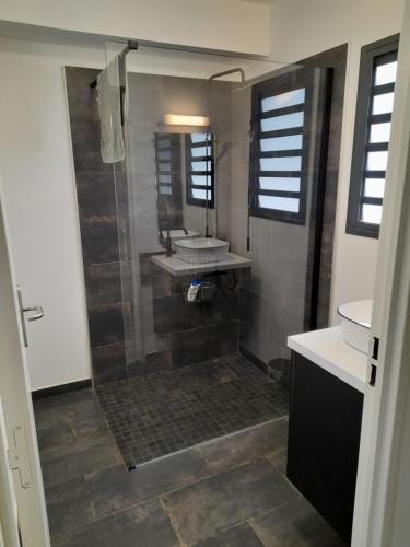 厄唐萨雷Chambre avec salle de bain, WC et terrasse的带淋浴、盥洗盆和镜子的浴室