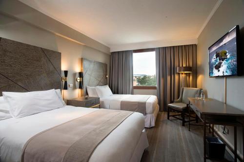 蓬塔阿雷纳斯合恩角酒店的酒店客房配有两张床和一张书桌
