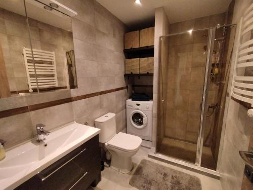 维尔纽斯Apartments Franny's Bees的浴室配有卫生间水槽和淋浴。