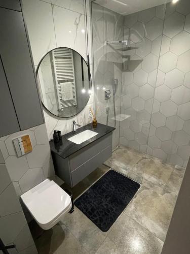 华沙Księżycowy Apartament Ursus的一间带水槽、镜子和卫生间的浴室