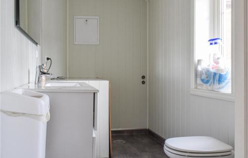 TonstadStunning Home In Tonstad With Kitchen的白色的浴室设有卫生间和水槽。