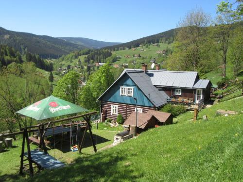 韦尔卡乌帕Horska chalupa u Kulisu的山丘上带绿色屋顶的房子