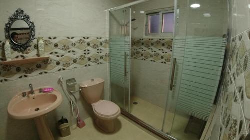 瓦迪穆萨Petra Antique House的带淋浴、卫生间和盥洗盆的浴室