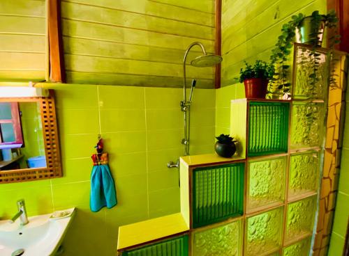 勒拉芒坦Magnifique Lodge en bois avec piscine et jardin de 800 m2的绿色浴室设有水槽和淋浴