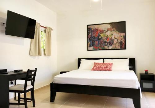 苏莎亚布兰科珊瑚酒店的一间卧室配有一张床、一张书桌和一台电视