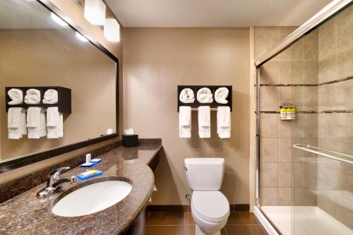 比尤特布特智选假日酒店的浴室配有卫生间、盥洗盆和淋浴。