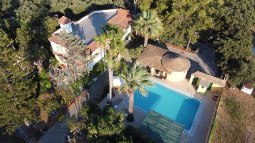 瓦西里科斯LEMON GARDEN的享有带游泳池和棕榈树的别墅的顶部景致