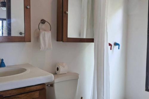 托拉Shankton Harbour 3 Bedroom 4 Bathroom Beach House w Private BEACH SEA path的一间带卫生间、水槽和镜子的浴室