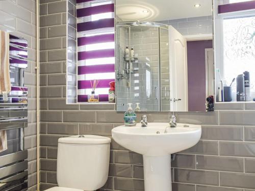 Abbey-CwmhirRhiw Gam的一间带水槽、卫生间和镜子的浴室