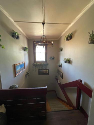CulgoaKaneira Hotel的一间设有楼梯的房间,种植了盆栽植物