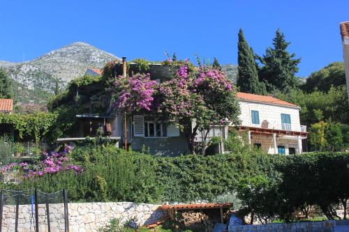 斯拉诺Apartments with a parking space Slano, Dubrovnik - 8540的山顶上一座鲜花粉红色的房子