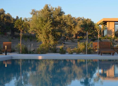 SívasO Mikros Kosmos Hotel Resort - Adults Only的后方设有长椅和树木的游泳池