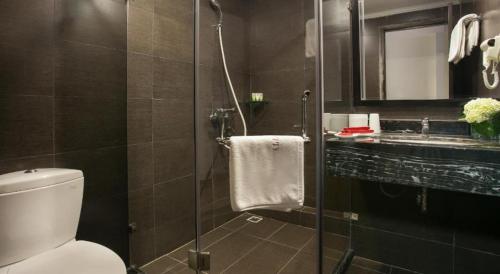 河内乐尚丽Spa酒店的带淋浴、卫生间和盥洗盆的浴室