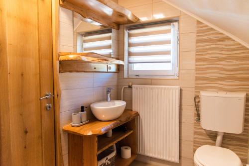 SemičApartma ''Pri Movernu''的一间带水槽和卫生间的小浴室