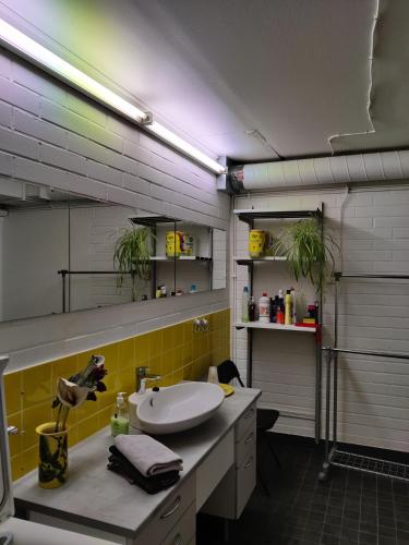 凯乌鲁Pikkukoti Lemmikki的一间带水槽和黄色墙壁的浴室