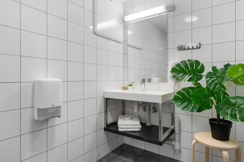 欣萨维克米克尔帕肯费列顿假日公园的一间带水槽和盆栽植物的浴室