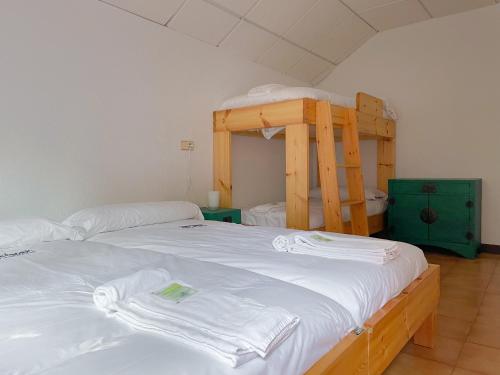 擞莫Arena Surf Hotel的一间卧室设有两张双层床和梯子