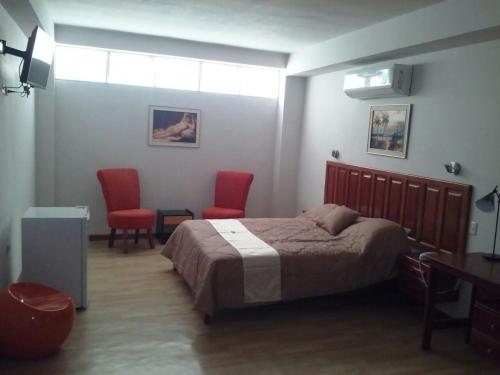 伊基托斯SAFARI HOTEL IQUITOS的一间卧室配有一张床、两把椅子和一张书桌