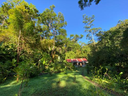 Dos BrazosCasa Bolita的森林中一座红色屋顶的小房子