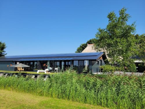 TietjerkHippe Schuur的屋顶上设有日光浴室的房子