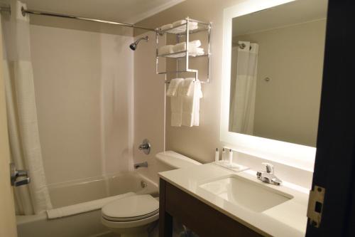 伯灵顿Fun City Resort Hotel的一间带水槽、卫生间和镜子的浴室