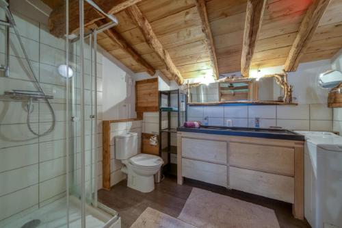 ChorancheL'Echappée en Vercors的浴室配有卫生间、盥洗盆和淋浴。