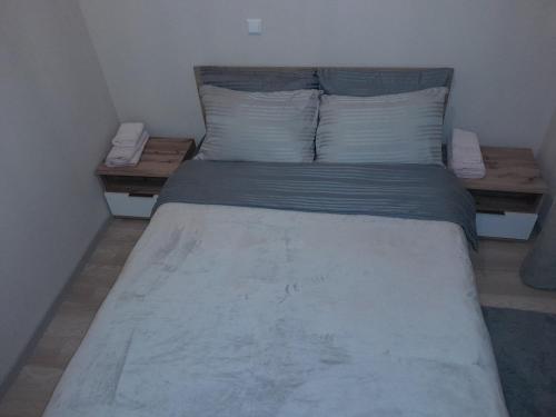 普里什蒂纳Gray Apartament 2 Pristina的小房间的一个床位,配有两个枕头