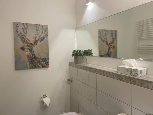 明斯特Weberhof Apartment 2的一间带水槽、镜子和卫生间的浴室
