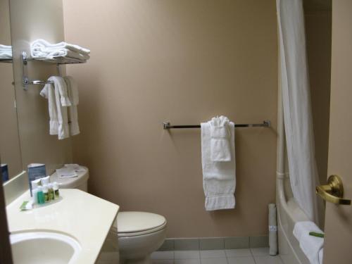 哈利法克斯贝叶斯湖 - 哈利法克斯海岸旅馆的浴室配有卫生间、盥洗盆和淋浴。
