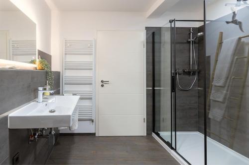 爱尔福特Hotel Garni " Am Domplatz"的一间带水槽和玻璃门淋浴的浴室