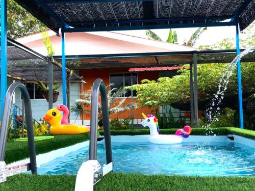 珍南海滩WAN'S ROOMSTAY LANGKAWI的院子里的游泳池,有充气鸭子