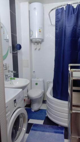 苦盏Мтко-1的浴室配有卫生间水槽和洗衣机。
