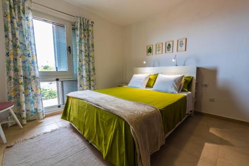 圣地亚哥海滩Casa Los Mangos - Increíbles vistas的一间卧室配有一张带绿毯的床和窗户。