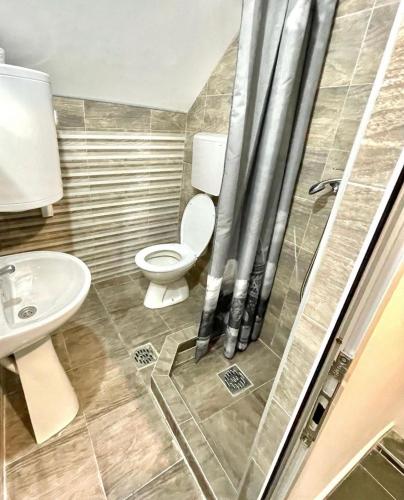 克拉列沃Apartman K3的带淋浴、卫生间和盥洗盆的浴室