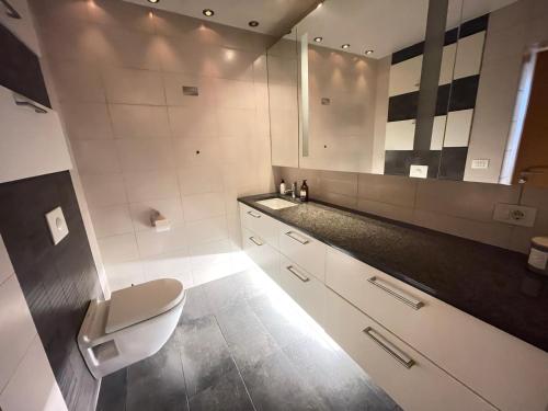 雷克雅未克Cosy and spacious apartment in Reykjavik的一间带卫生间和水槽的浴室