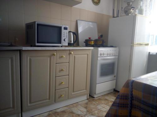 特鲁斯卡韦茨Затишна 1 кімнатна квартира Трускавець的厨房配有微波炉和冰箱。