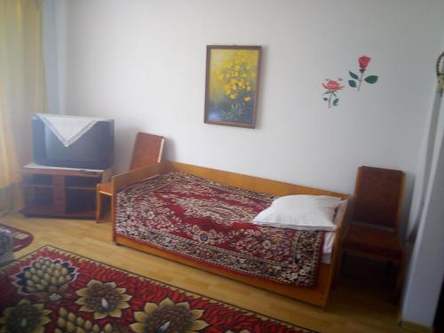 特鲁斯卡韦茨Затишна 1 кімнатна квартира Трускавець的一间带床和电视的小卧室