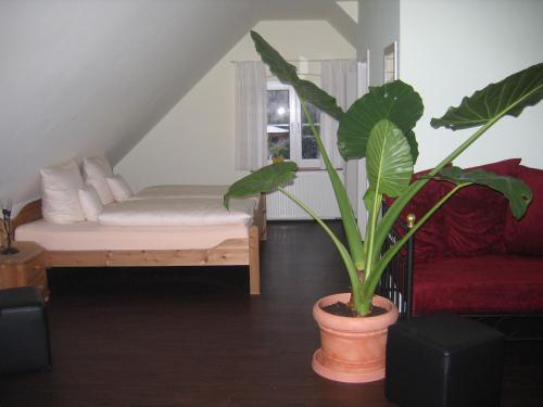 ForstGästehaus Oswald的一间有床和盆栽的房间