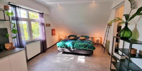 韦斯特卡佩勒Westkapelle comfortabele Strandkamer aan de Kreek的一间卧室设有一张床和一个大窗户