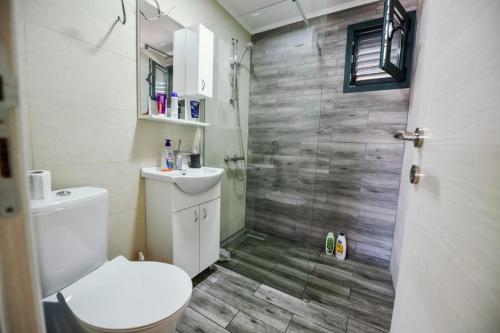 乌尔齐尼Sojenica Tamara的一间带卫生间和玻璃淋浴间的浴室