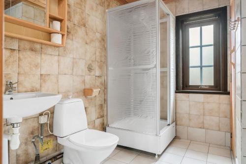 萨伦Mysig stuga i Sälen nära Hundfjället med bastu的浴室配有卫生间、盥洗盆和淋浴。