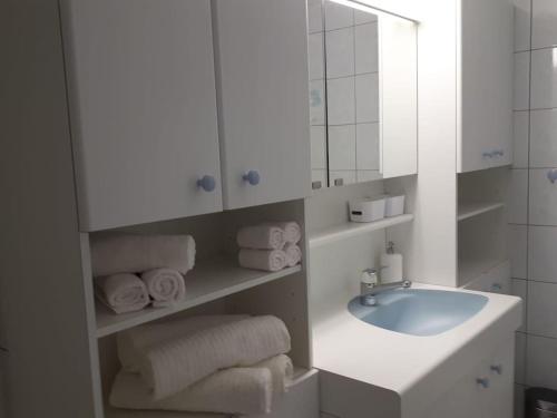 沙尔梅Appartement lumineux et spacieux à Charmey - Coin de paradis的浴室配有盥洗盆、镜子和毛巾