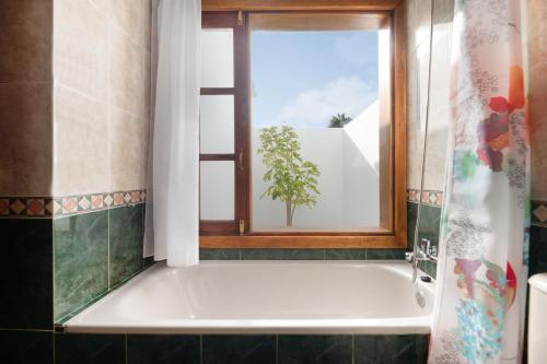 阿里亚Casa Aloe的带浴缸的浴室和窗户。