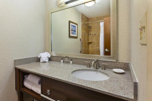 哥伦布哥伦布北 - 沃辛顿皇冠假日酒店的一间带水槽和大镜子的浴室