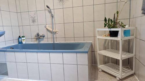 PalsdorfUrsteirerhof - Familie Kerschbaumer的带浴缸的浴室和架子上的植物