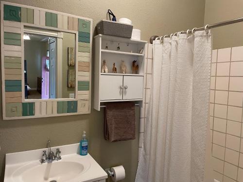 拉夫兰Llama-Stay at Spooky Tooth Ranch - Mtn Views!的一间带水槽和淋浴帘的浴室