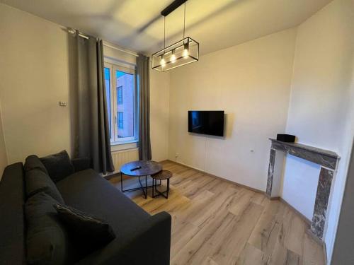 布鲁塞尔Cosy Apartment Merode的带沙发和壁炉的客厅