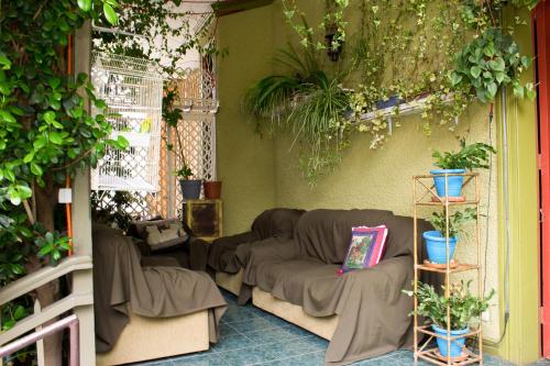 维纳德马布莱斯特加纳酒店的带沙发和一些植物的客厅