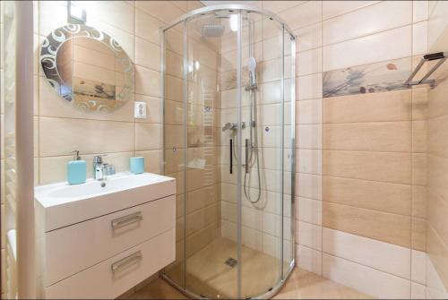 阿祖加Chalet Belmont的带淋浴和盥洗盆的浴室