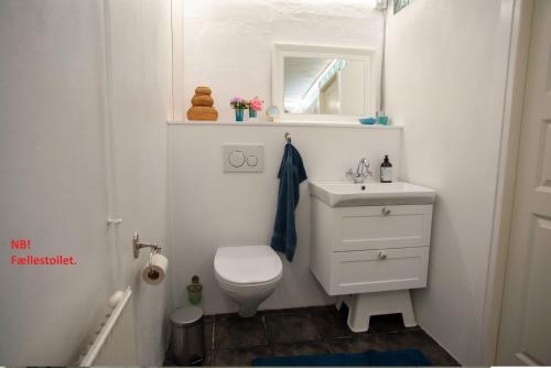 ToftebjergÆblehaven的浴室配有白色卫生间和盥洗盆。